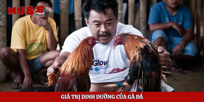 Gà Đá Có Ăn Được Không - Hướng Dẫn Chế Biến Siêu Ngon 2 Giá trị dinh dưỡng của gà đá