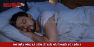Mơ Thấy Rồng Là Điềm Gì? Giải Mã Ý Nghĩa Từ A Đến Z 7 Mơ Thấy Rồng Là Điềm Gì? Giải Mã Ý Nghĩa Từ A Đến Z