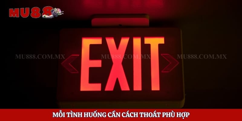 Cách Chạy Khỏi Trường Gà Nhanh Nhất Khi Xảy Ra Sự Cố Bất Ngờ 4 Mỗi tình huống cần cách thoát phù hợp