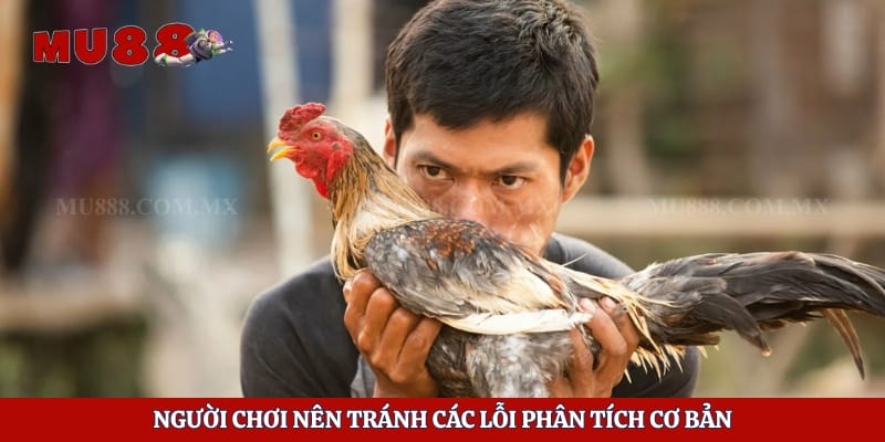 Kinh Nghiệm Chọn Gà - Bí Kíp Giúp Người Chơi Dễ Thắng 6 Người chơi nên tránh các lỗi phân tích cơ bản