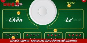 Xóc Đĩa Haywin - Game Cược Đẳng Cấp Tại Nhà Cái Mu88 3 Xóc Đĩa Haywin – Game Cược Đẳng Cấp Tại Nhà Cái Mu88